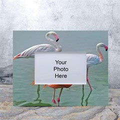 Birds White Tabletop Photo Frame 4 x6 