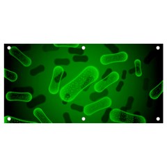 Green-rod-shaped-bacteria Banner And Sign 4  X 2 