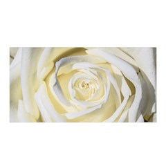 White Roses Flowers Plant Romance Blossom Bloom Nature Flora Petals Satin Wrap 35  X 70 