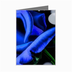 Blue Rose Roses Bloom Blossom Mini Greeting Card