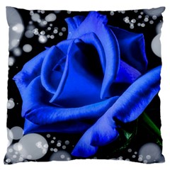 Blue Rose Roses Bloom Blossom Standard Premium Plush Fleece Cushion Case (two Sides) by pakminggu