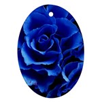 Roses Flowers Plant Romance Oval Ornament (Two Sides) Back