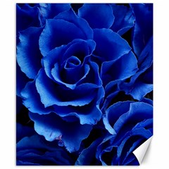 Roses Flowers Plant Romance Canvas 8  X 10  by pakminggu