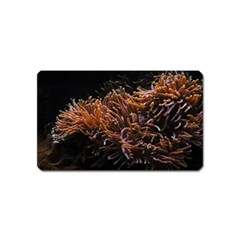 Sea Anemone Coral Underwater Ocean Sea Water Magnet (name Card) by pakminggu