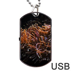 Sea Anemone Coral Underwater Ocean Sea Water Dog Tag Usb Flash (two Sides) by pakminggu