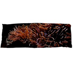 Sea Anemone Coral Underwater Ocean Sea Water Body Pillow Case (dakimakura) by pakminggu