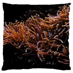 Sea Anemone Coral Underwater Ocean Sea Water Large Cushion Case (one Side) by pakminggu