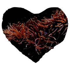 Sea Anemone Coral Underwater Ocean Sea Water Large 19  Premium Heart Shape Cushions by pakminggu