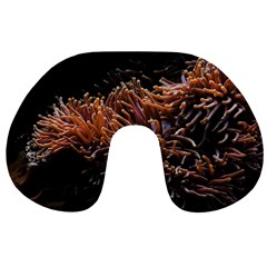 Sea Anemone Coral Underwater Ocean Sea Water Travel Neck Pillow by pakminggu