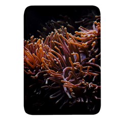 Sea Anemone Coral Underwater Ocean Sea Water Rectangular Glass Fridge Magnet (4 Pack) by pakminggu