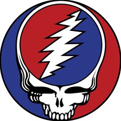 Grateful Dead Play Mat (rectangle) by Mog4mog4