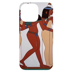 Egypt Fresco Mural Decoration Iphone 14 Pro Max Black Uv Print Case by Mog4mog4