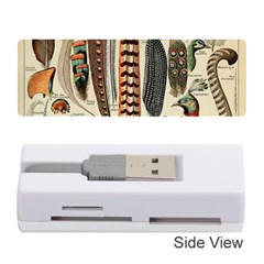 Feathers Birds Vintage Art Memory Card Reader (stick) by Vaneshart