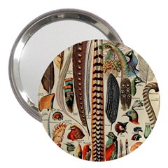 Feathers Birds Vintage Art 3  Handbag Mirrors