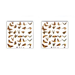 Butterfly Butterflies Insect Swarm Cufflinks (square)