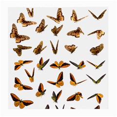 Butterfly Butterflies Insect Swarm Medium Glasses Cloth (2 Sides)