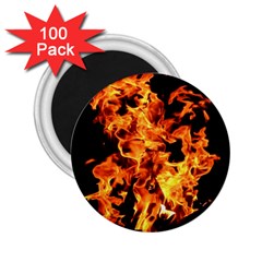 Live Coals 2 25  Magnets (100 Pack)  by artworkshop