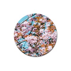 Nature Beautiful Rainbow Magnet 3  (round) by artworkshop