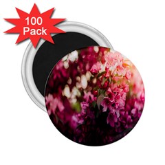 Pink Flower 2 25  Magnets (100 Pack)  by artworkshop