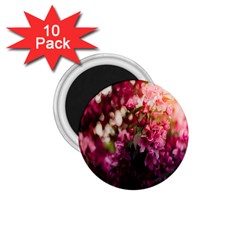 Pink Flower 1 75  Magnets (10 Pack)  by artworkshop