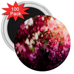 Pink Flower 3  Magnets (100 Pack) by artworkshop