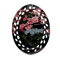 Pink Peony  Flower Oval Filigree Ornament (two Sides) by artworkshop