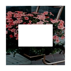 Pink Peony  Flower White Box Photo Frame 4  X 6  by artworkshop
