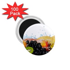 Variety Of Fruit Water Berry Food Splash Kiwi Grape 1 75  Magnets (100 Pack) 