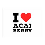 I love acai berry Two Sides Premium Plush Fleece Blanket (Mini) 35 x27  Blanket Front