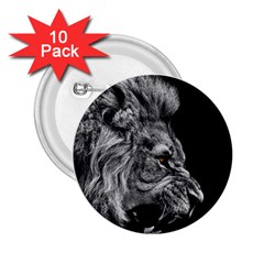 Angry Male Lion Roar 2 25  Buttons (10 Pack) 