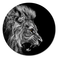 Angry Male Lion Roar Magnet 5  (round)