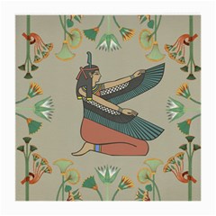 Egyptian Woman Wing Medium Glasses Cloth (2 Sides) by Wav3s