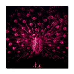 Peacock Pink Black Feather Abstract Tile Coaster