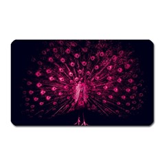 Peacock Pink Black Feather Abstract Magnet (rectangular)