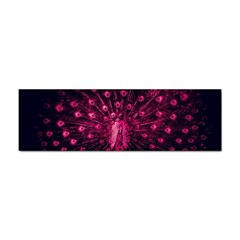 Peacock Pink Black Feather Abstract Sticker Bumper (100 Pack)