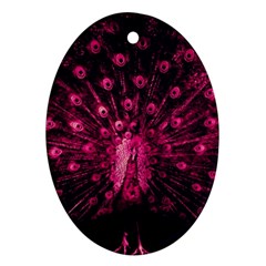 Peacock Pink Black Feather Abstract Oval Ornament (two Sides)