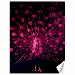 Peacock Pink Black Feather Abstract Canvas 18  X 24 