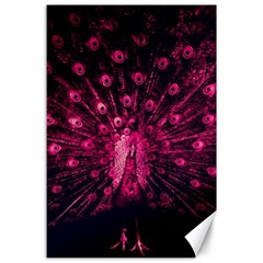 Peacock Pink Black Feather Abstract Canvas 24  X 36 