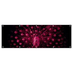 Peacock Pink Black Feather Abstract Banner And Sign 12  X 4  by Wav3s