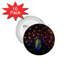 Peacock Feathers 1 75  Buttons (10 Pack)