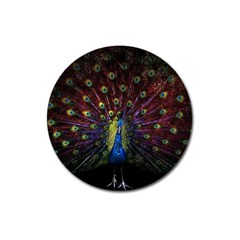 Peacock Feathers Magnet 3  (round)