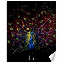 Peacock Feathers Canvas 16  X 20 