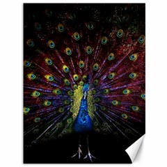 Peacock Feathers Canvas 36  X 48 