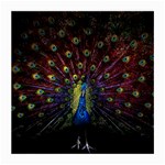 Peacock Feathers Medium Glasses Cloth Front