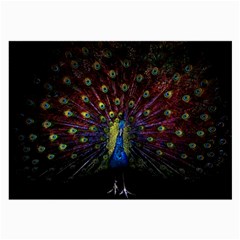 Peacock Feathers Large Glasses Cloth