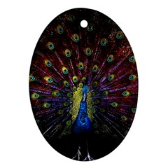 Peacock Feathers Oval Ornament (two Sides)