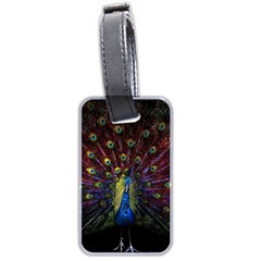 Peacock Feathers Luggage Tag (two Sides) by Wav3s