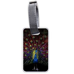 Peacock Feathers Luggage Tag (one Side) by Wav3s
