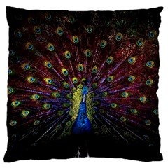 Peacock Feathers Standard Premium Plush Fleece Cushion Case (one Side)