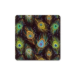 Pattern Feather Peacock Square Magnet